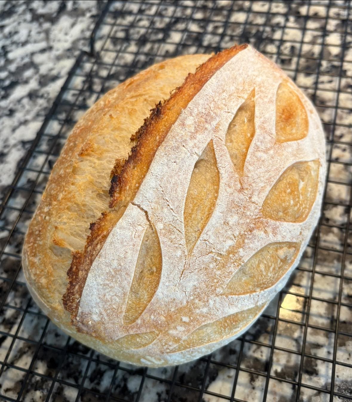 Classic Sourdough Loaves